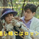 隠し味にはロマンス 韓国 ドラマ