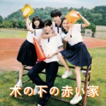 [中国ドラマ] 木の下の赤い家 あらすじ ネタバレ キャスト (树下有片红房子)