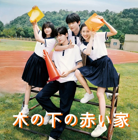 [中国ドラマ] 木の下の赤い家 あらすじ ネタバレ キャスト (树下有片红房子)